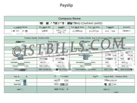 收入来源证明 香港工资单 HongKong Payslip 收入证明 Payslip Salary 带公司名字 中/英文拼音名（香港收入证明）