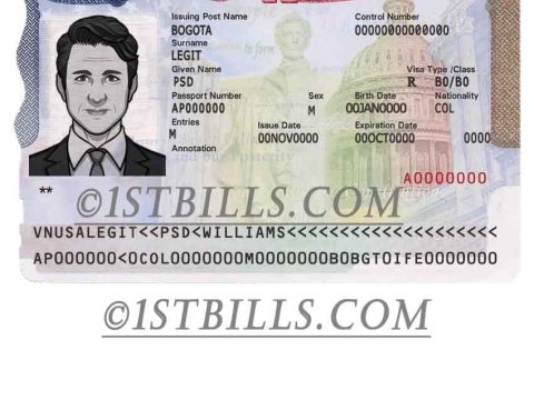 美国VISA签证 签证页 PSD模板 USA Tourist Visa PSD Template