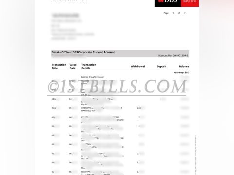 新加坡星展银行 DBS 公司银行账单 地址证明 Singapore DBS Bank DBS Corporate Bank Statement Proof of Address