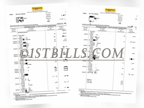 马来西亚MyBank银行工资流水一个月 Malaysia MyBank Salary Statement