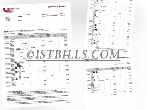 东南亚 马来西亚银行账单 Malaysia CIMB Bank Statement 马来西亚地址证明pdf