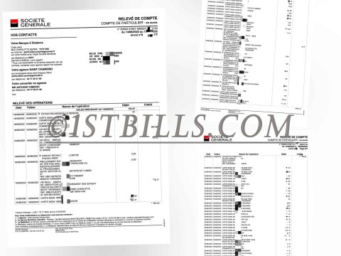 法国兴业银行账单 地址证明 France Societe Generale Bank Statement PDF