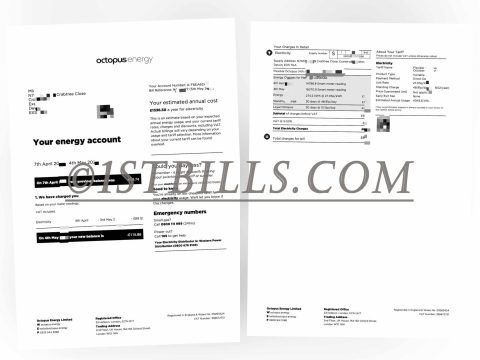英国地址证明 Octopus电费燃气账单 UK Octopus Electricity Gas Utility Bill Proof of Address PDF