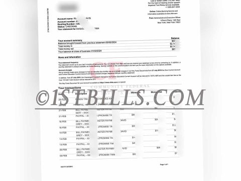 美国CFSB社区联邦银行个户账单流水 地址证明 Community Federal Bank personal account statement and address proof