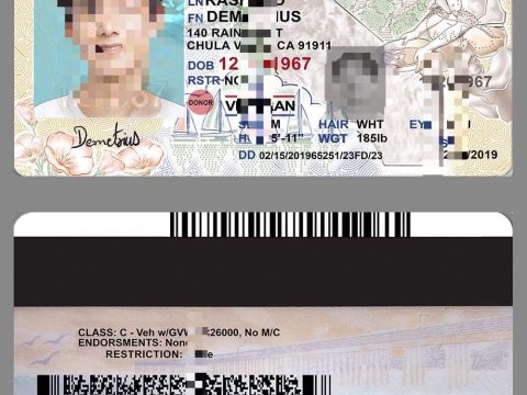 美国加利福利亚州新版驾驶证/驾照PSD模板USA California DL PSD（V4版）