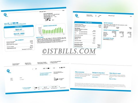 美国地址证明 FPL电费账单 United States Proof of Address FPL Electric Bill