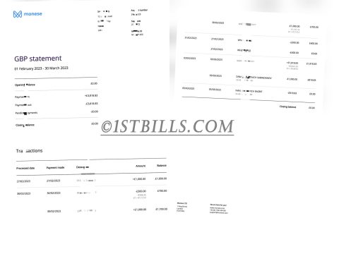 英国Monese银行账单 Bank Statement（英国地址证明）