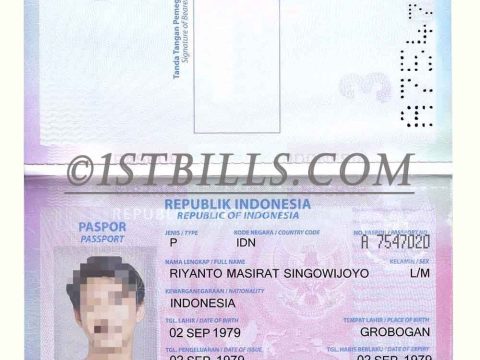 东南亚| 印度尼西亚/印尼护照 Indonesia Passport PS/Photoshop/PSD模板