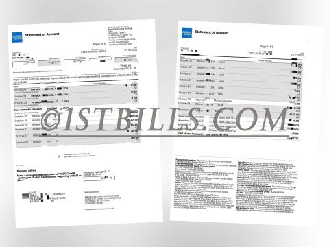 美国运通信用卡账单 地址证明 American Express credit card statement Proof of address