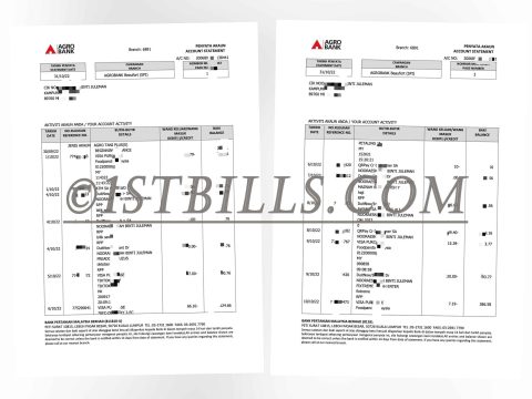 东南亚｜马来西亚AGRO银行账单 地址证明 Southeast Asia | Malaysia AGRO Bank Statement Proof of Address