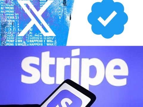 2026 年最新最全 X 认证 + Stripe 绑定教程，领取马斯克的工资！