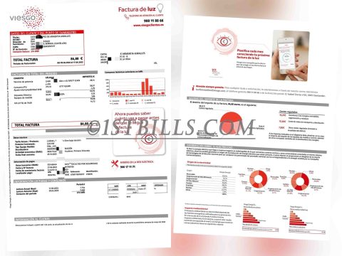 西班牙地址证明 viesgo电费账单西班牙语 Spain Proof of Address electricity bill（欧盟地址证明）