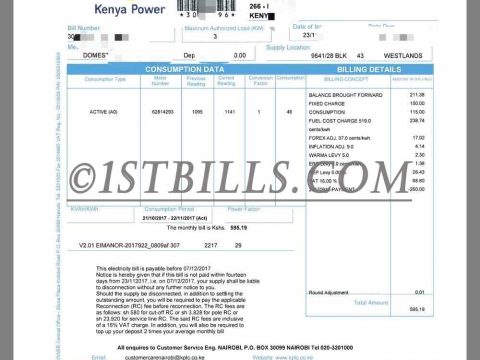 非洲肯尼亚 水电费账单| Kenya Power Electricity Utility Bill pdf