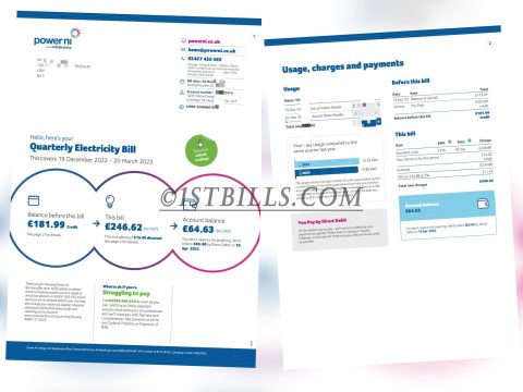 英国地址证明 电费账单UK power ni Electricity bill