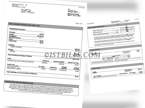 美国花旗银行账单 CITI Bank Statement（美国地址证明）