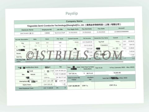 收入来源证明 时薪工资单 China Payslip 收入证明 Payslip Salary 带公司名字 中/英文拼音名（收入证明）