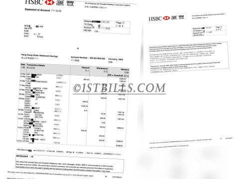 香港汇丰银行账单 带工资流水Hong Kong HSBC bank statement with salary flow