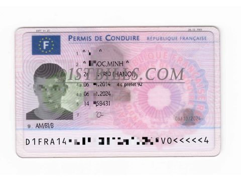 法国驾照 France Drving License 欧盟FR驾照 PSD可编辑模版（欧盟KYC证件）