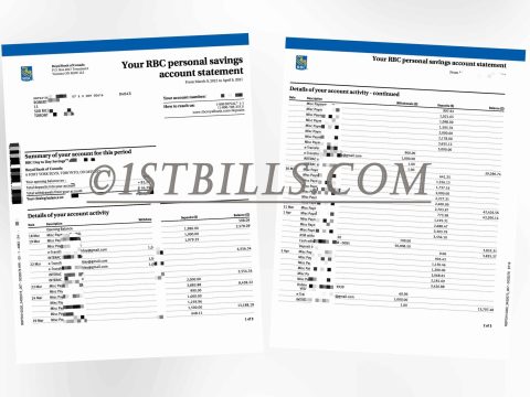 加拿大皇家银行 带工资流水账单 RBC Bank with salary statement