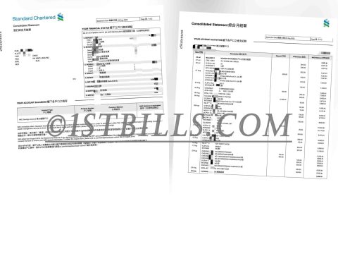 香港渣打银行账单 Hongkong Standard Chartered Bank Statement PDF（香港地址证明）