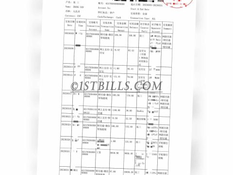 China银行账单 带工资一个月内流水证明 带中/英文拼音名  China bank statement with salary and proof of income source