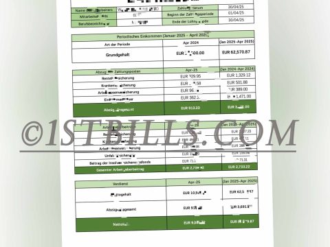 奥地利收入证明工资单 德语收入来源证明 Austrian Income Certificate Pay Slip German Income Certificate