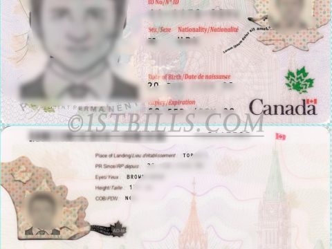 专业加拿大居留卡 枫叶卡 PSD模版（Canadian Residence Card PSD），高清分层设计，文字、照片及背景均可自由编辑。适用于设计学习、影视道具制作及版式研究。文件结构清晰，图层分组明确，无需复杂操作即可快速修改，人工发