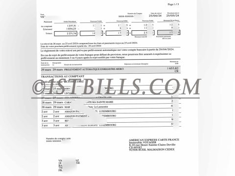 法国 美国运通 信用卡账单 地址证明 French American Express credit card statement Proof of address