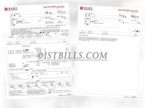 香港恒生银行信用卡账单 地址证明 Hong Kong Proof of Address Hang Seng Bank Statement PDF