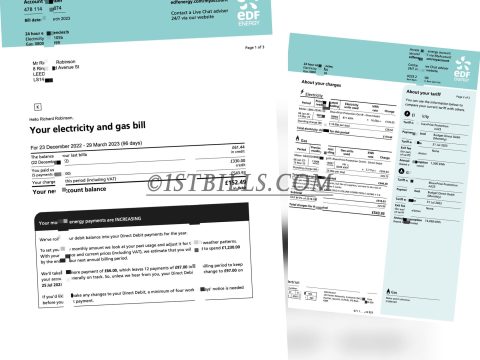 英国电费燃气费账单UK Edfenergy Electricity Gas bill 2
