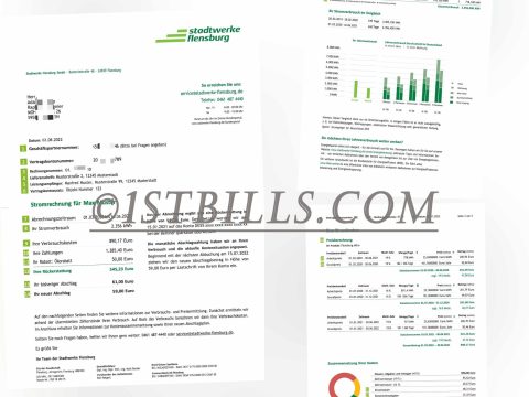 德国地址证明 德国Stadtwerke Flensburg电费账单 Germany Stadtwerke Flensburg Electricity Utility Bill Proof Of Address