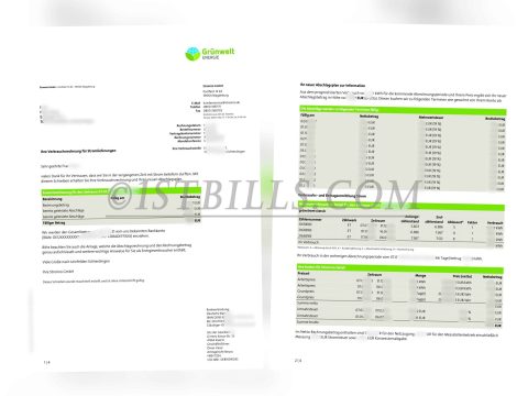 德国水电费账单 gruenwelt energie电费 地址证明 German water and electricity bills (gruenwelt energie electricity bill) (proof of address)