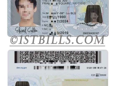 USA美国纽约州New York新版驾驶证/驾照高质量PSD模板/Photoshop/PS（V3版）