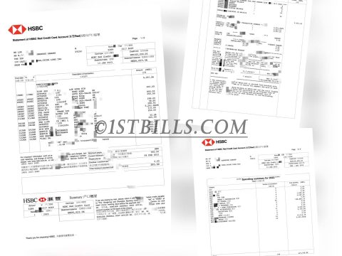 香港汇丰银行信用卡账单 HSBC HK Bank Statement