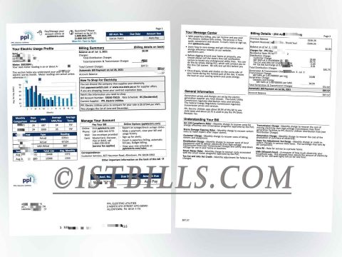 美国地址证明 宾夕法尼亚州 PPL电费账单 Proof of U.S. Address Pennsylvania PPL Electricity Bill