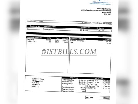 收入证明 PD LOGISTICS英国物流公司工资单（收入证明）