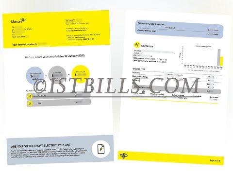 新西兰Mercury水电账单 地址证明 New Zealand Mercury electricity bill (address proof)