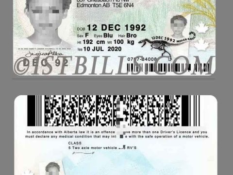 北美| 加拿大Alberta艾伯塔省驾照 Canada DL PSD模板