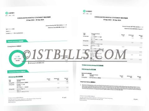 香港众安银行账单 地址证明 Hong Kong ZhongAn Bank Statement Address Proof