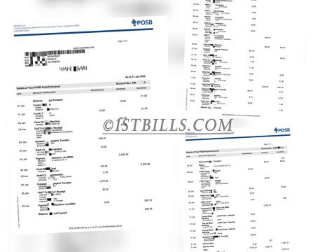新加坡 POSB银行账单 带工资流水 Singapore POSB bank statement with salary slip