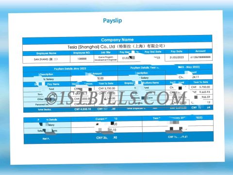 收入来源证明 China基本工资单 Wise收入证明 带公司中/英文名 中/英文拼音名 Payslip Salary（收入证明）