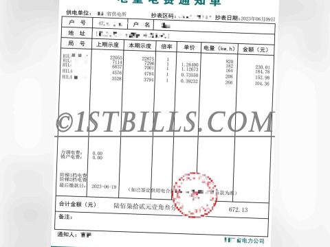 国家电网 电费账单 亚马逊 派安盈 地址证明 Amazon Payoneer China Electricity Address Proof（中国大陆地址证明）