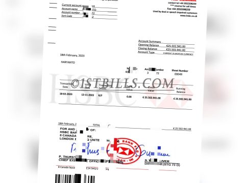 HSBC账户资产声明 资金证明 HSBC Account Funds Proof