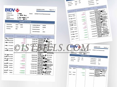 东南亚|越南 Vietnam BIDV Statement 银行账单/KYC地址证明pdf