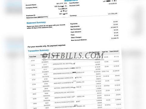 加拿大BMO银行账单 Bank Statement（加拿大地址证明）