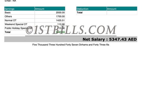 迪拜阿联酋工资单 Dubai salary