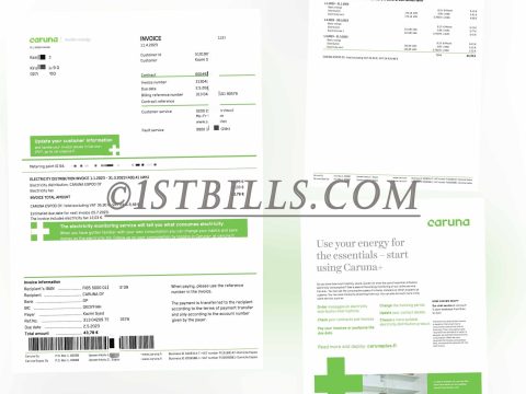 芬兰Caruna电费账单 芬兰地址证明 Finnish Caruna Electricity Bill PDF