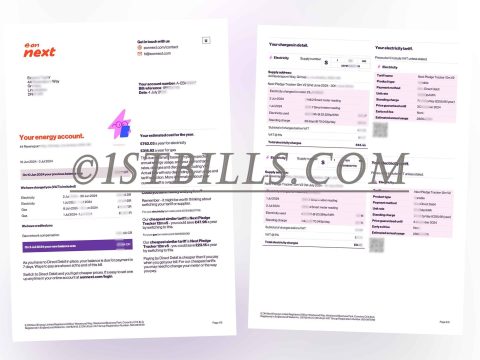 英国水电账单地址证明 eon next 电费燃气账单 UK address proof eon next electricity and gas bill