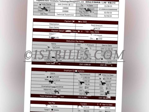 收入证明工资单 收入来源 China基本工资单 带公司名字 中/英文拼音名 Payslip Salary（收入证明）