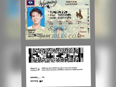 美国|Wyoming DL怀俄明州驾照/驾驶证PSD/Photoshop/PS模板(打印版)